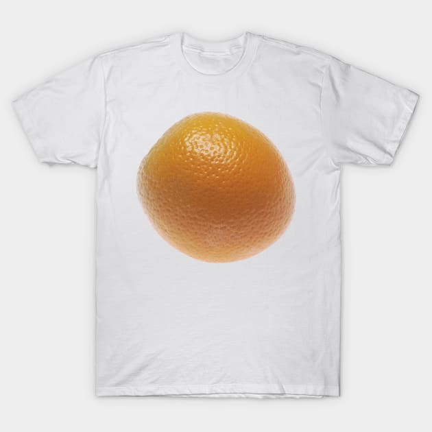 Florida Orange T-Shirt by Bravuramedia
